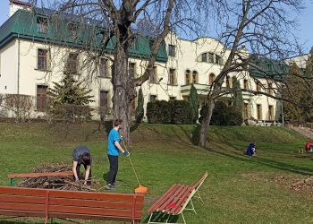 Powiększ zdjęcie: Prace ogrodowe