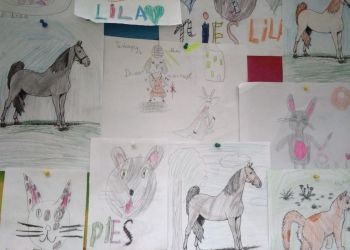 Powiększ zdjęcie: galeria zdjęć ze zwierzętami