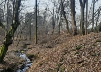Powiększ zdjęcie: KRAJOBRAZ