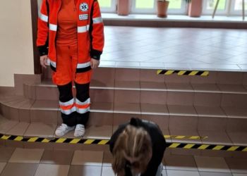 Powiększ zdjęcie: dziewdzynka wykonująca masaż serca na manekinie