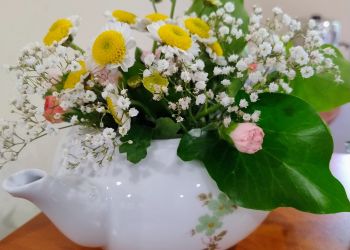 Powiększ zdjęcie: IMG_20250529_171701486_AE