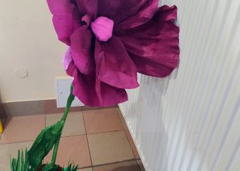 Powiększ zdjęcie: IMG_20250529_171730372_AE