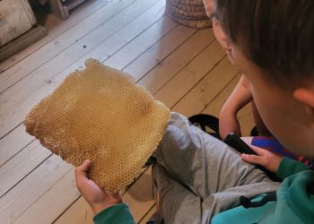 Powiększ zdjęcie: chłopiec z plastrem miodu