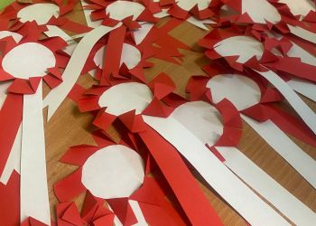 Powiększ zdjęcie: kotyliony