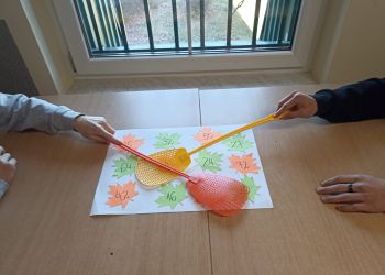 Powiększ zdjęcie: łapki na muchy