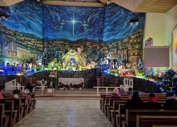 Powiększ zdjęcie: widok na stajenkę