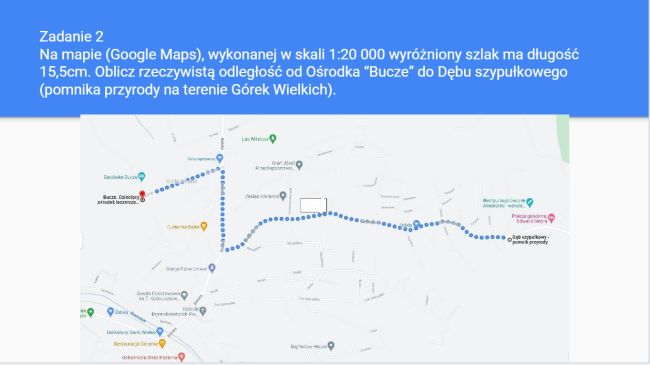 Zadanie 1- uczniowie mieli obliczyć odległość od ośrodka Bucze do dębu szypułkowego (pomnika przyrody w Górkach Wielkich)
