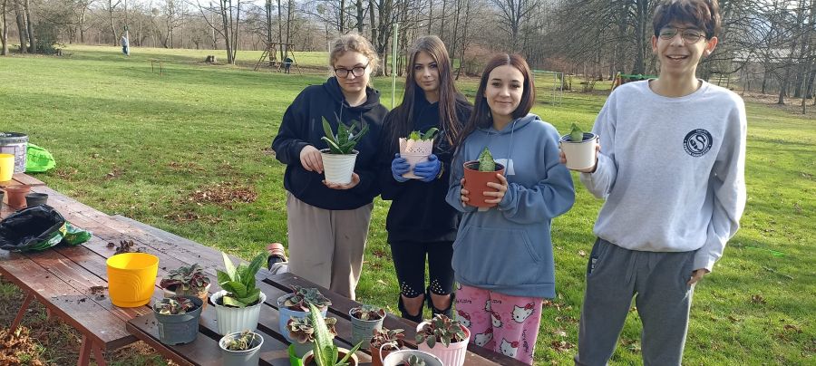 Rozsadzanie kwiatów